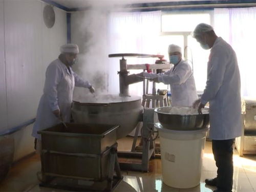 富锦鑫鑫食品加工厂 有序复工保供应，防疫生产两不误